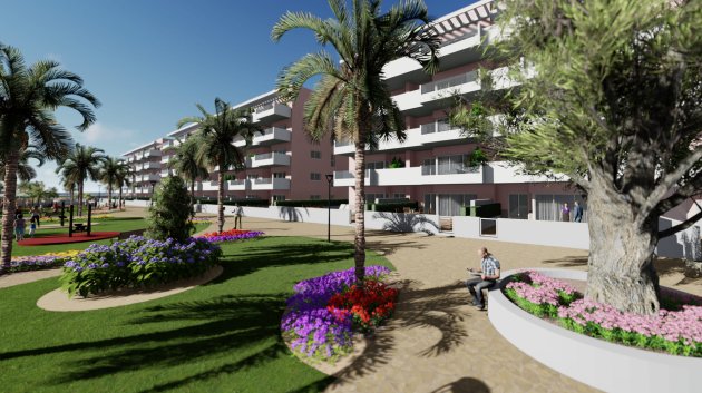 Apartamentos - Obra nueva - Guardamar del Segura -
            Guardamar del Segura
