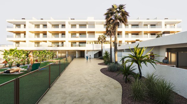 Apartamentos - Obra nueva - Torrevieja -
                Torrevieja