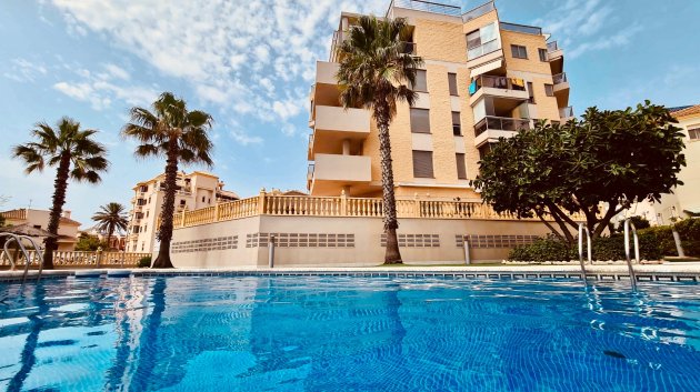 Apartamentos - Reventa - Guardamar del Segura -
                El Moncayo