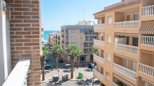Apartamentos - Reventa - Guardamar del Segura -
                Guardamar del Segura