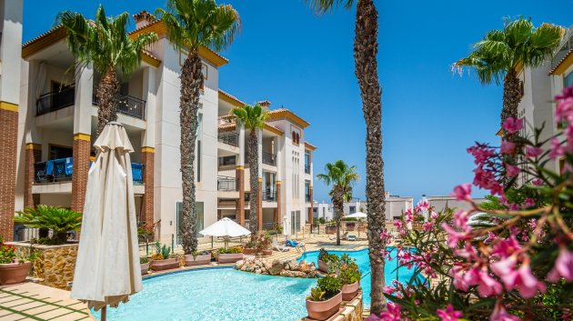 Apartamentos - Reventa - Guardamar del Segura -
            Guardamar del Segura