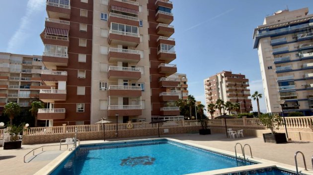 Apartamentos - Reventa - Guardamar del Segura -
            Guardamar del Segura