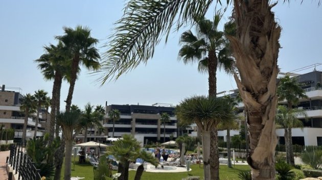 Apartamentos - Reventa -
                Orihuela Costa - ML-23077