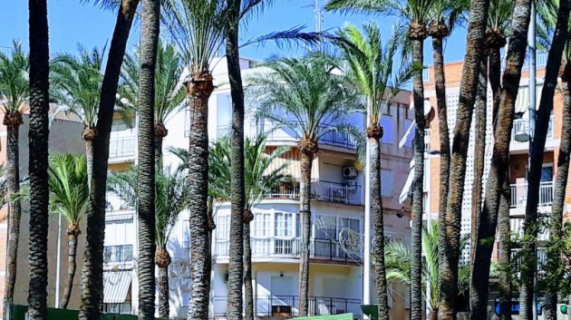 Apartamentos - Reventa - Santa Pola -
            Center
