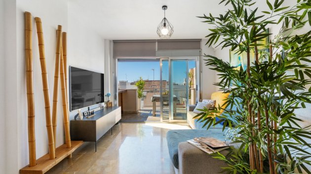 Apartamentos - Reventa - Torrevieja -
            Center