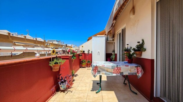 Apartamentos - Reventa - Torrevieja -
                Playa del Cura