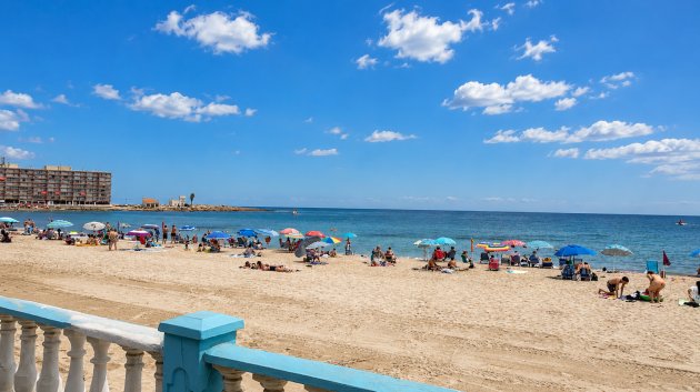 Apartamentos - Reventa - Torrevieja -
            Playa Los Locos