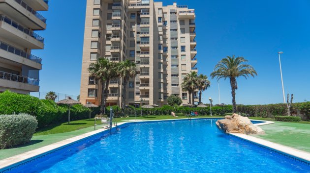 Apartments - Resale - Guardamar del Segura -
                Puerto Deportivo