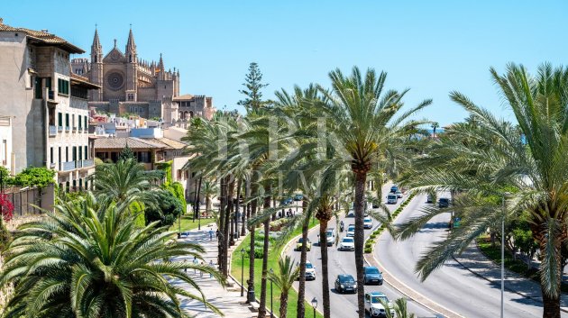 Apartments - Resale - Palma -
                Santa Catalina
