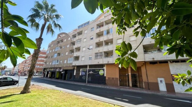Apartments - Resale - Torrevieja -
                Center
