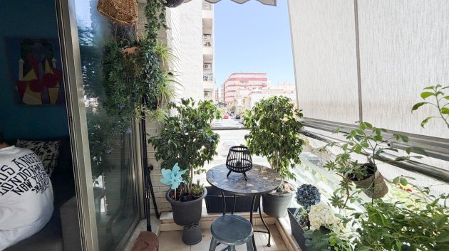 Apartments - Resale - Torrevieja -
            Center