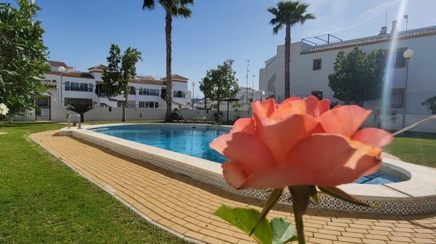 Appartements - Revente - Orihuela Costa -
                Vistabella