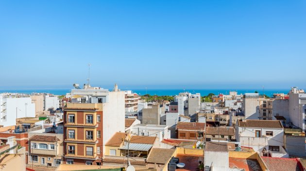 Chalets - Reventa - Guardamar del Segura -
                Guardamar del Segura