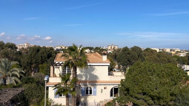 Chalets - Reventa - Orihuela Costa -
                Orihuela Costa