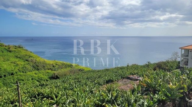 Land - Revente - Madeira -
            Madeira