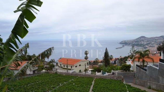 Land - Revente -
                Madeira - ML-89863