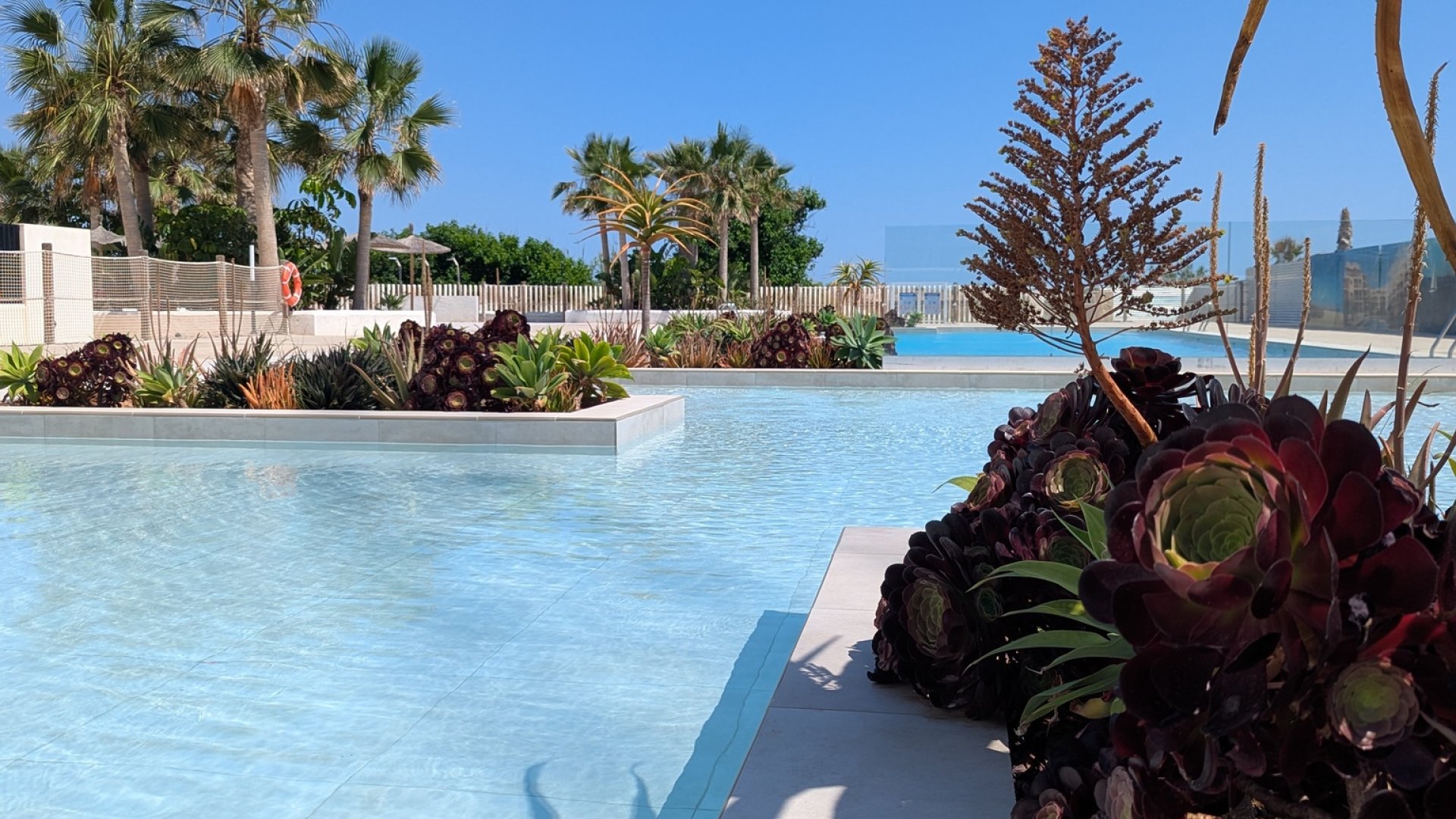 New Build - Apartments -
Denia - Dénia