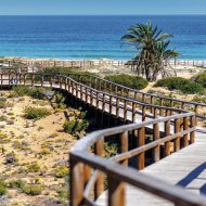 New Build - Apartments -
Monforte del Cid