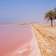 New Build - Apartments -
San Pedro del Pinatar