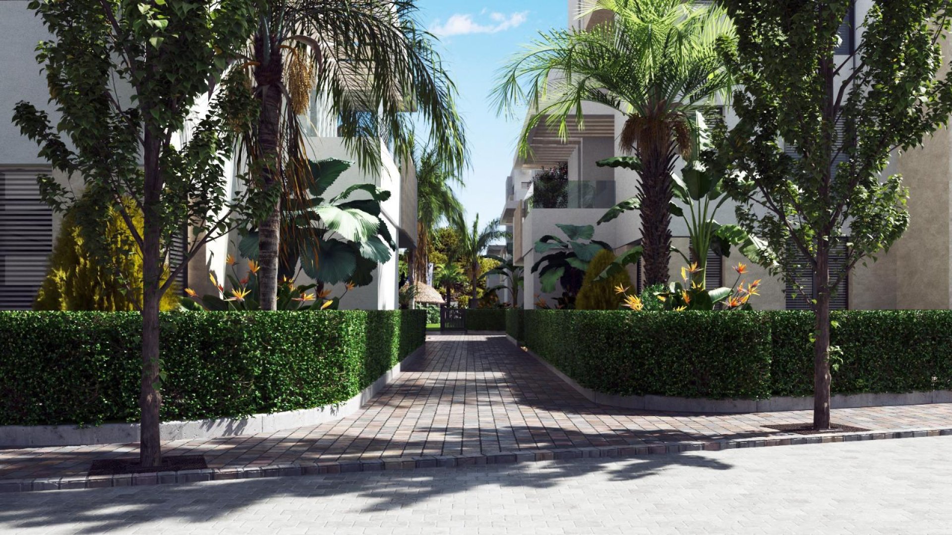 New Build - Apartments -
Torre-Pacheco