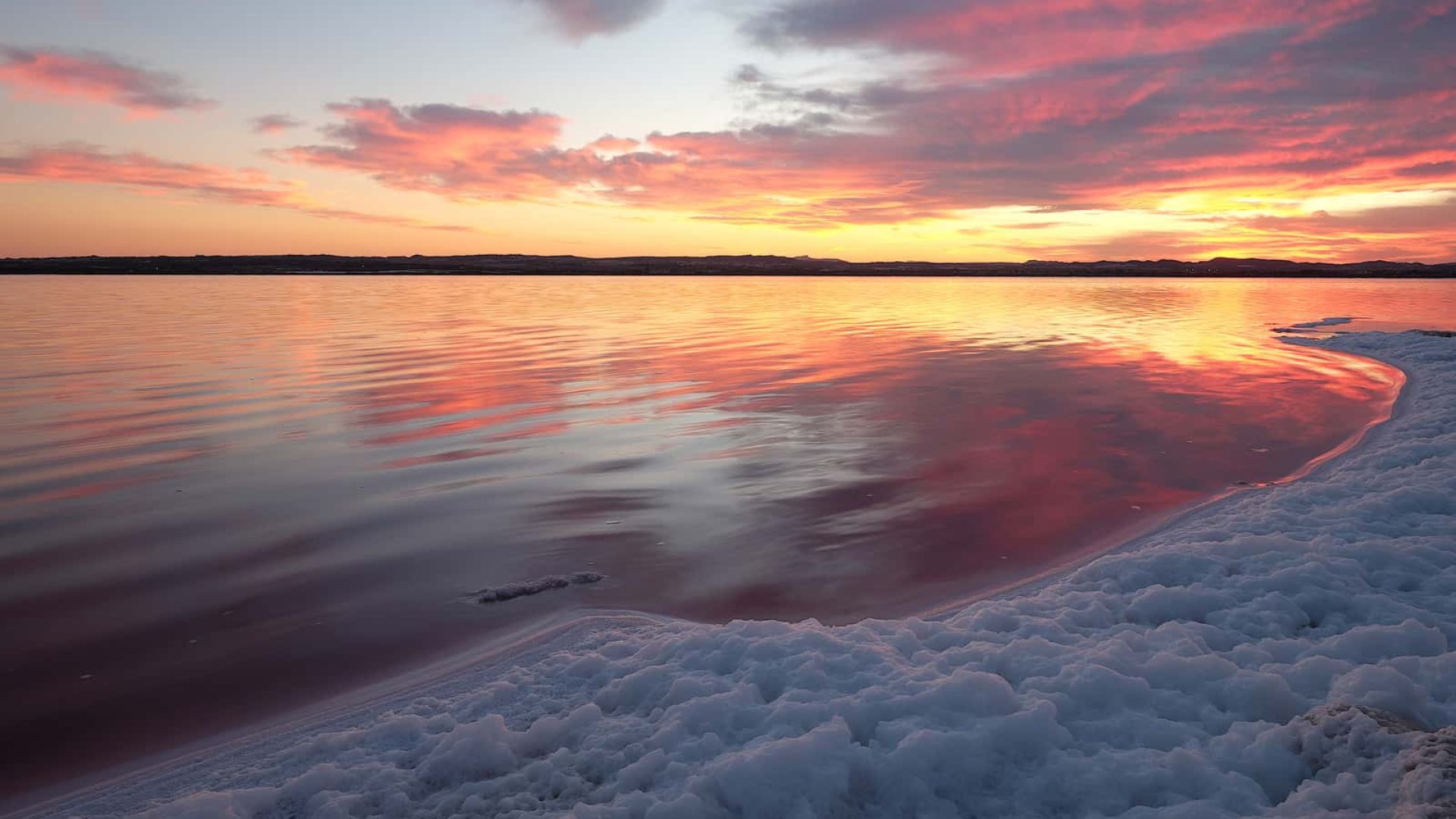 New Build - Apartments -
Torrevieja