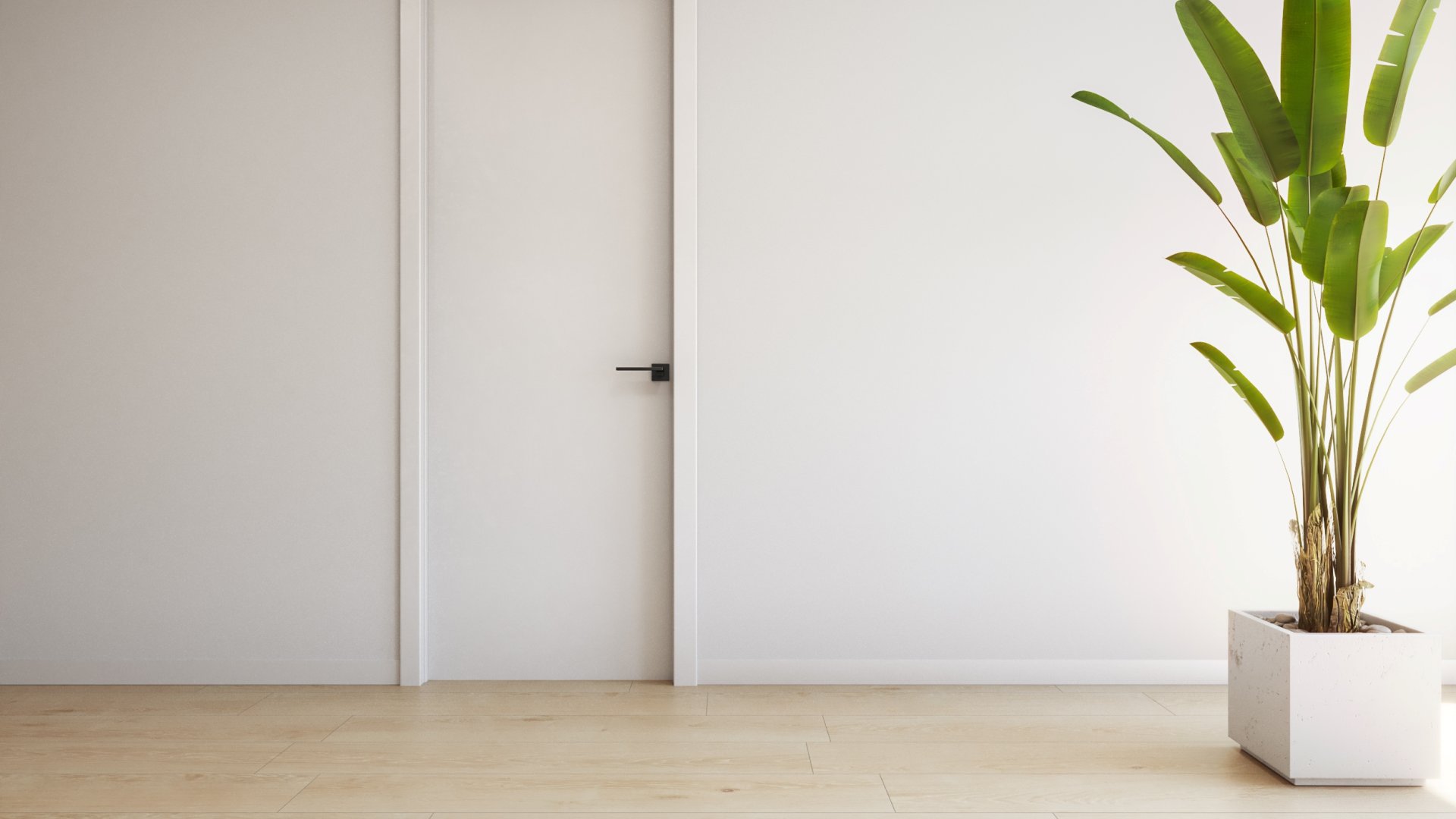 New Build - Apartments -
Torrevieja