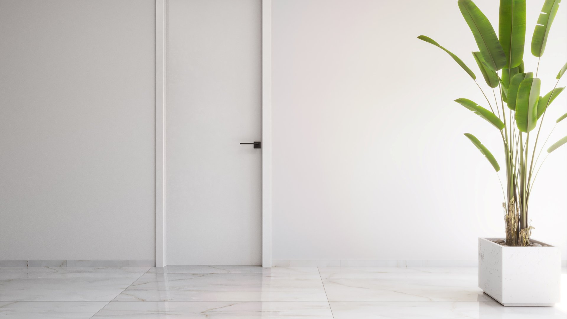 New Build - Apartments -
Torrevieja