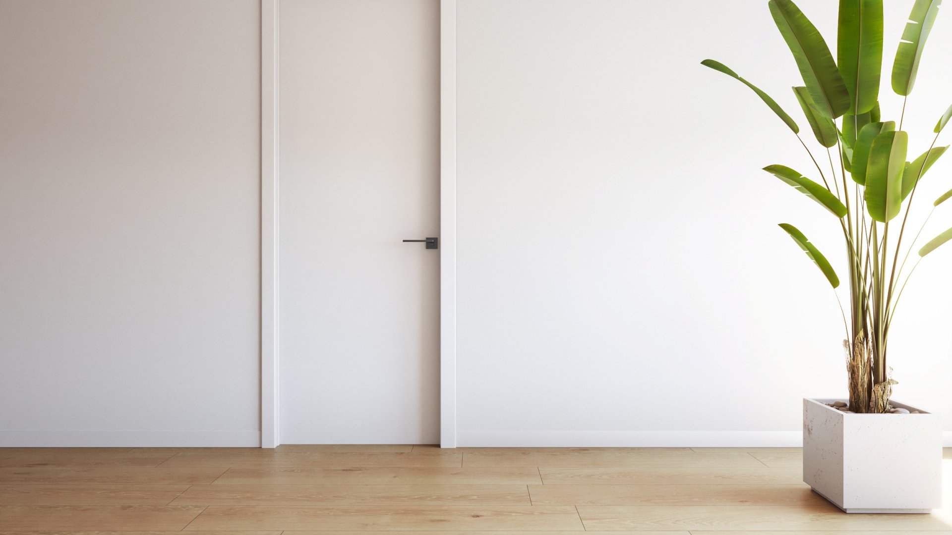 New Build - Apartments -
Torrevieja