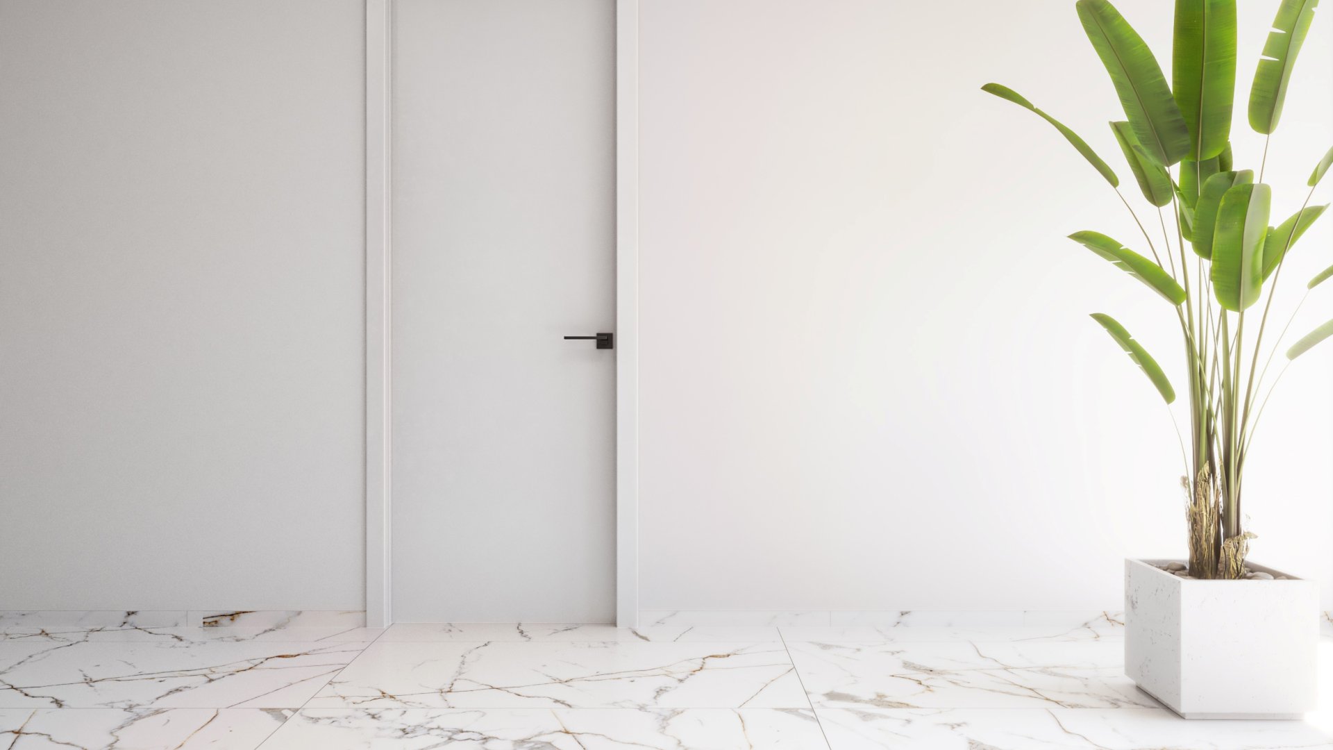 New Build - Apartments -
Torrevieja