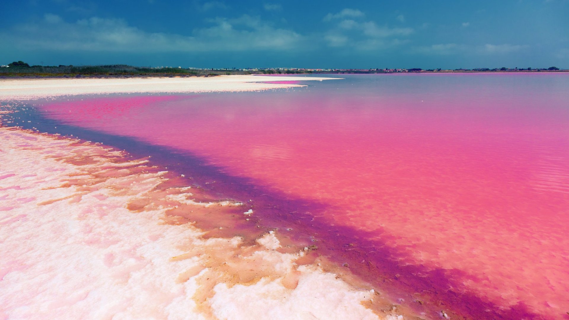 New Build - Apartments -
Torrevieja