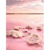 New Build - Penthouse -
Punta Prima