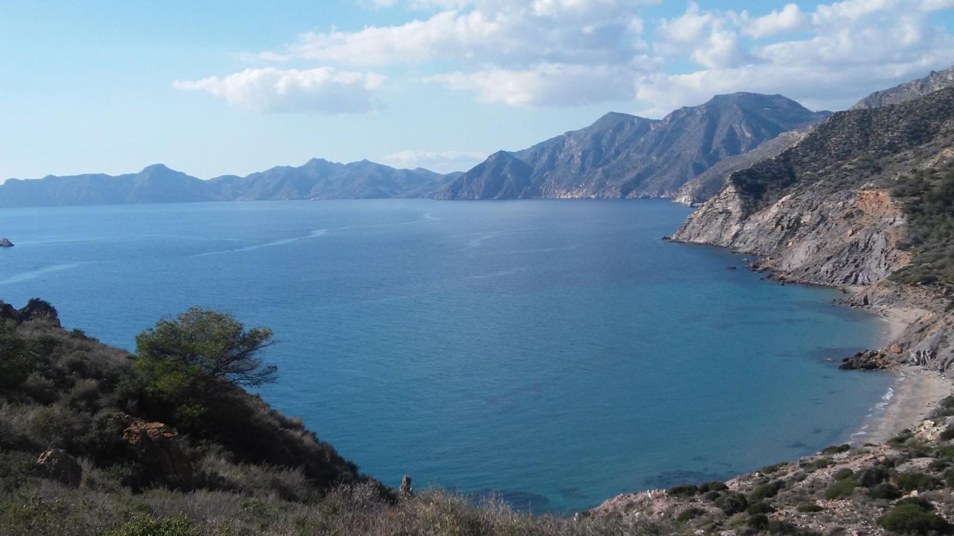 New Build - Townhouse -
Roldán