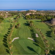 New Build - Villa -
Algorfa