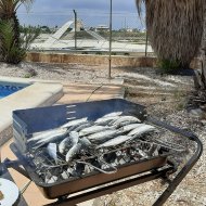 New Build - Villa -
La Manga del Mar Menor