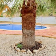 New Build - Villa -
La Romana