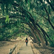 New Build - Villa -
Los Montesinos