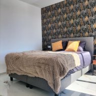 New Build - Villa -
Pilar de la Horadada
