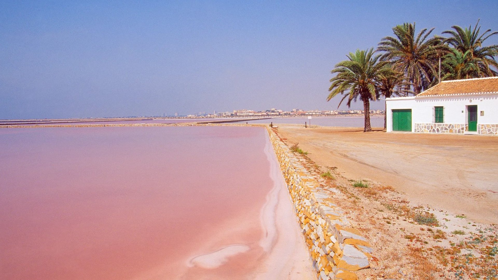 New Build - Villa -
Pilar de la Horadada