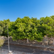 New Build - Villa -
Pilar de la Horadada