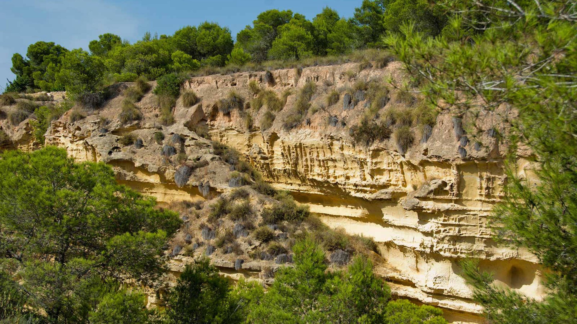 New Build - Villa -
Pinar de Campoverde