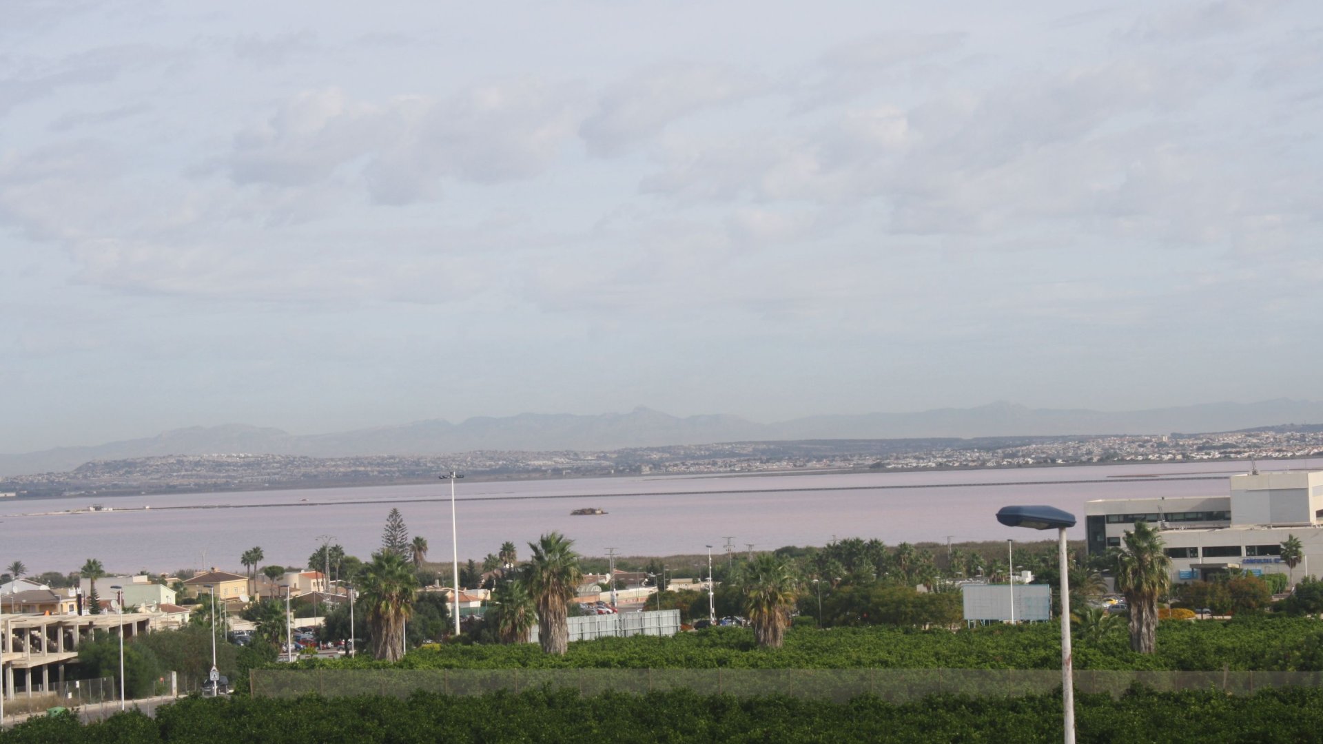 New Build - Villa -
Torrevieja