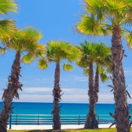 Nouvelle construction - Appartements -
Cabo Roig