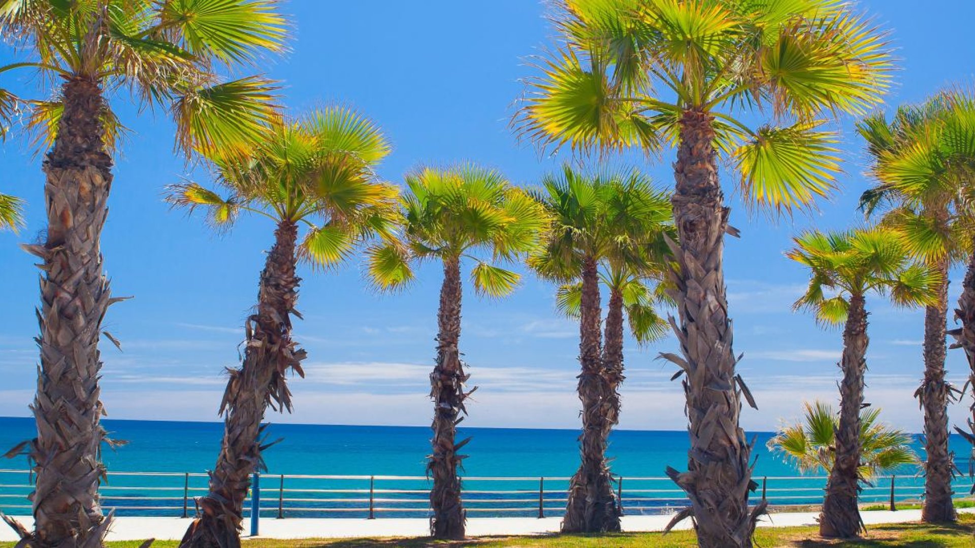 Nouvelle construction - Appartements -
Cabo Roig