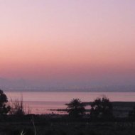 Nouvelle construction - Appartements -
Guardamar del Segura