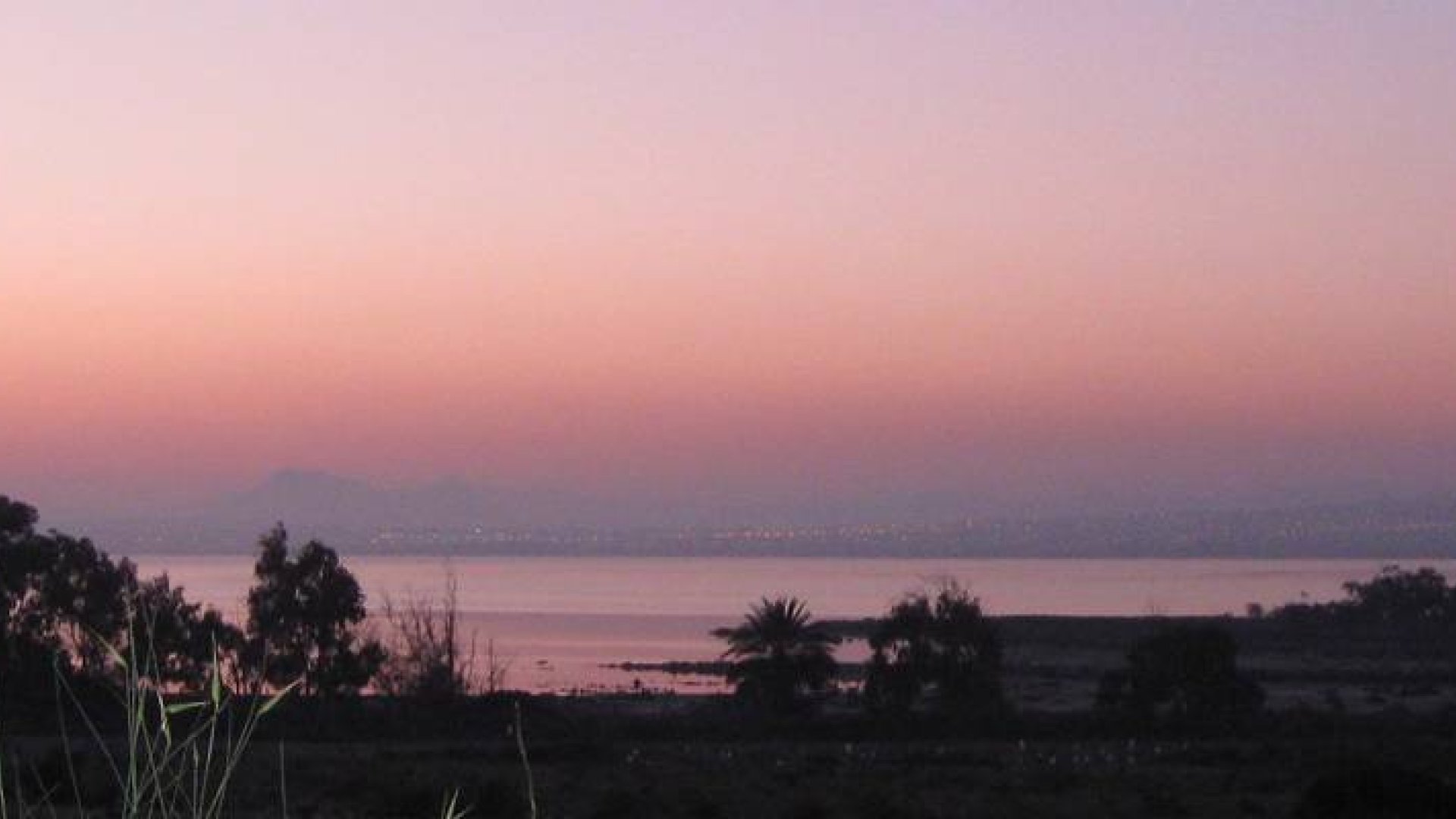 Nouvelle construction - Appartements -
Guardamar del Segura