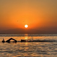 Nouvelle construction - Appartements -
La Manga del Mar Menor