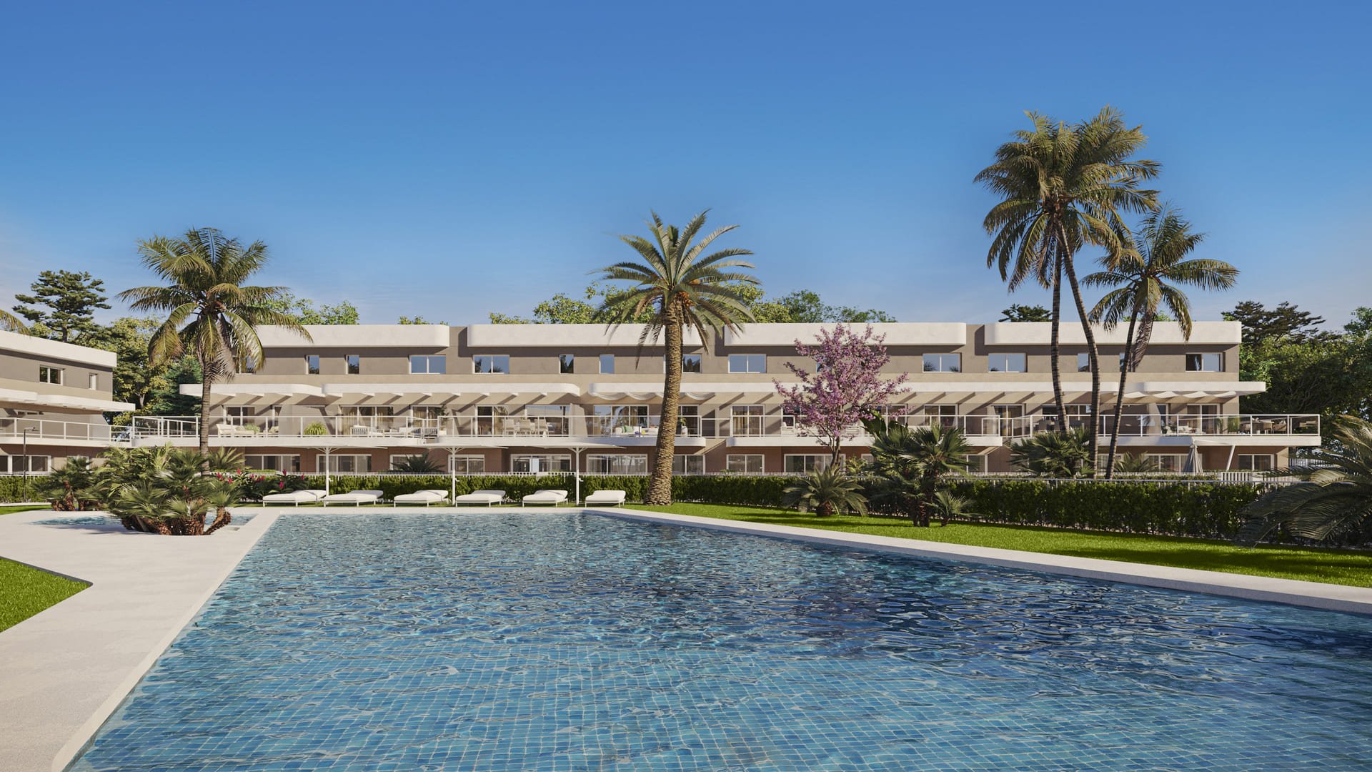 Nouvelle construction - Appartements -
Monforte del Cid
