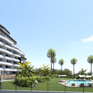 Nouvelle construction - Appartements -
San Miguel de Salinas