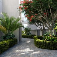 Nouvelle construction - Appartements -
Santa Rosalia - Santa Rosalía