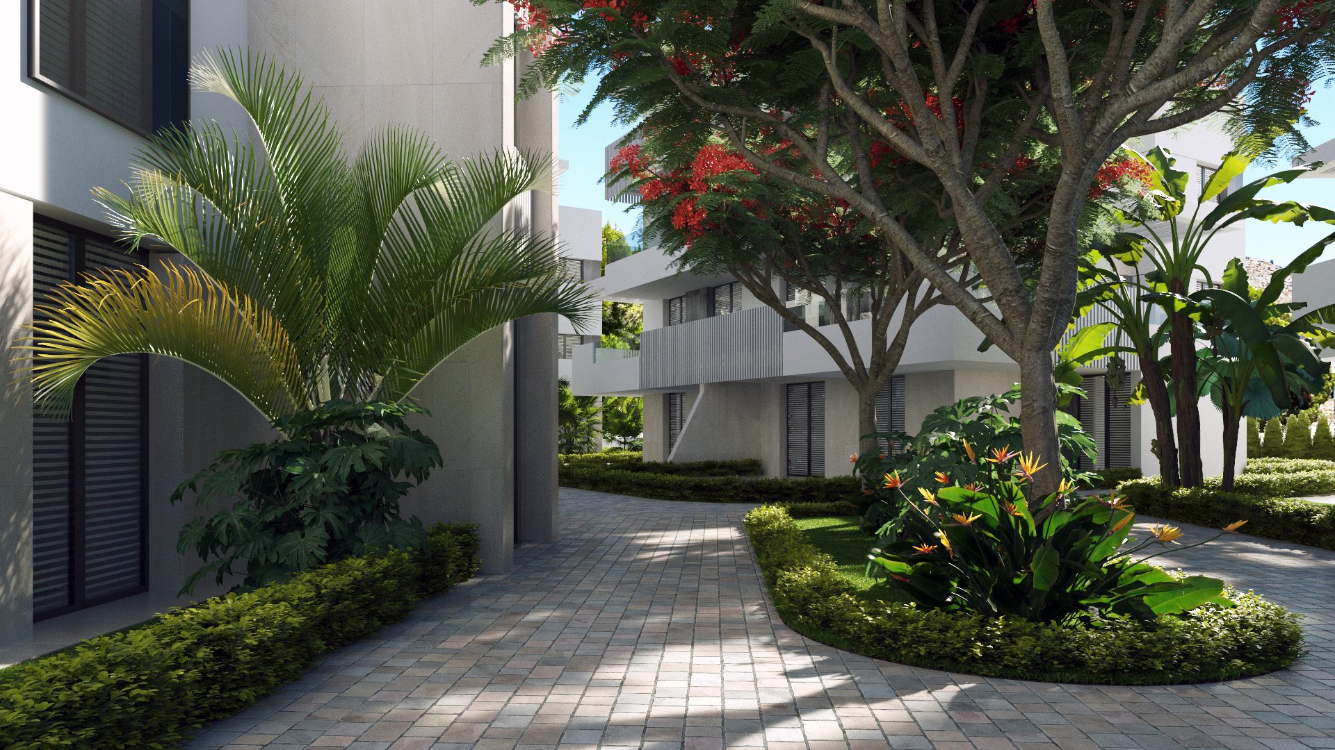 Nouvelle construction - Appartements -
Santa Rosalia - Santa Rosalía